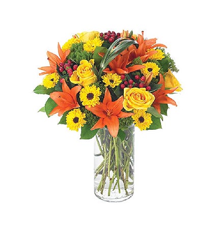 Autumn Sophistication