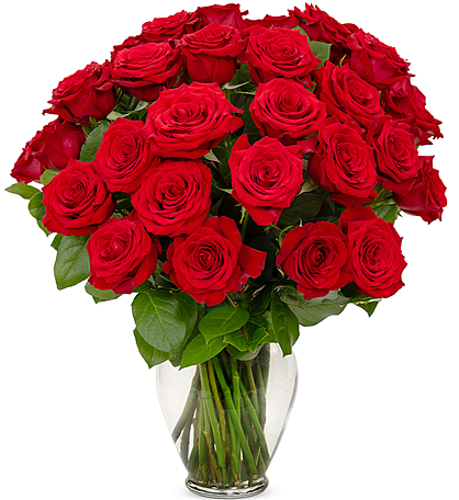 Classic Red Roses, 36-6 Stems