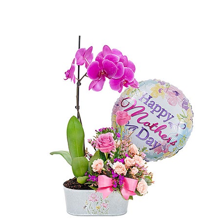 Orchid Elegance for Mom™ Bundle