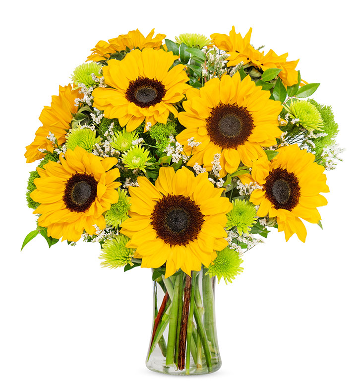 Same Day Flower Delivery