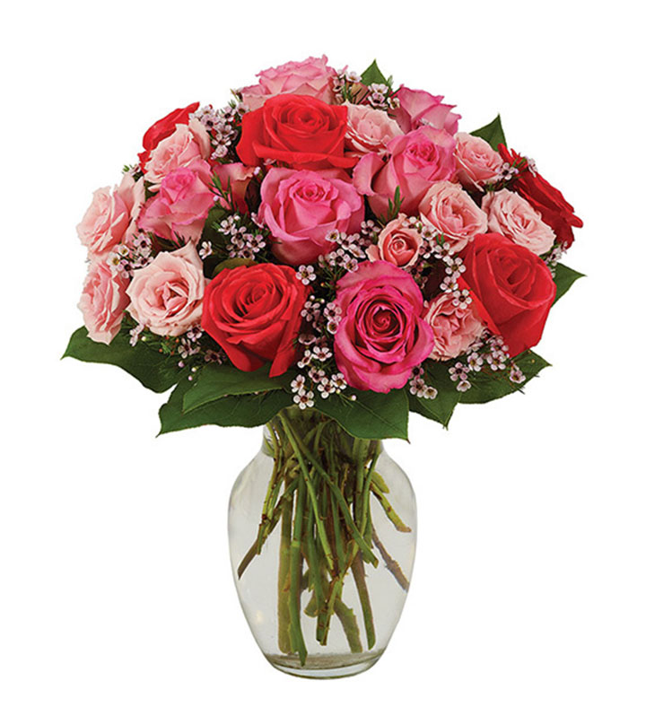 Sweetest Pink Roses, 15 24 Stems
