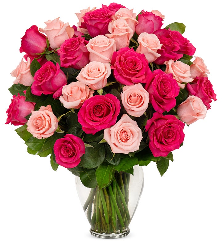 Sweetest Pink Roses, 36-6 Stems