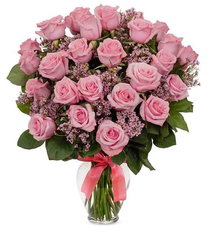 Classic Pink Roses, 36-6 Stems | Florists.com