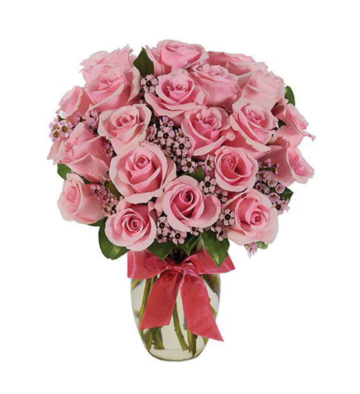 Classic Pink Roses, 36-6 Stems