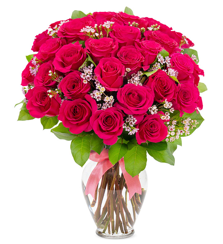 Hot Pink Roses, 6 36 Stems