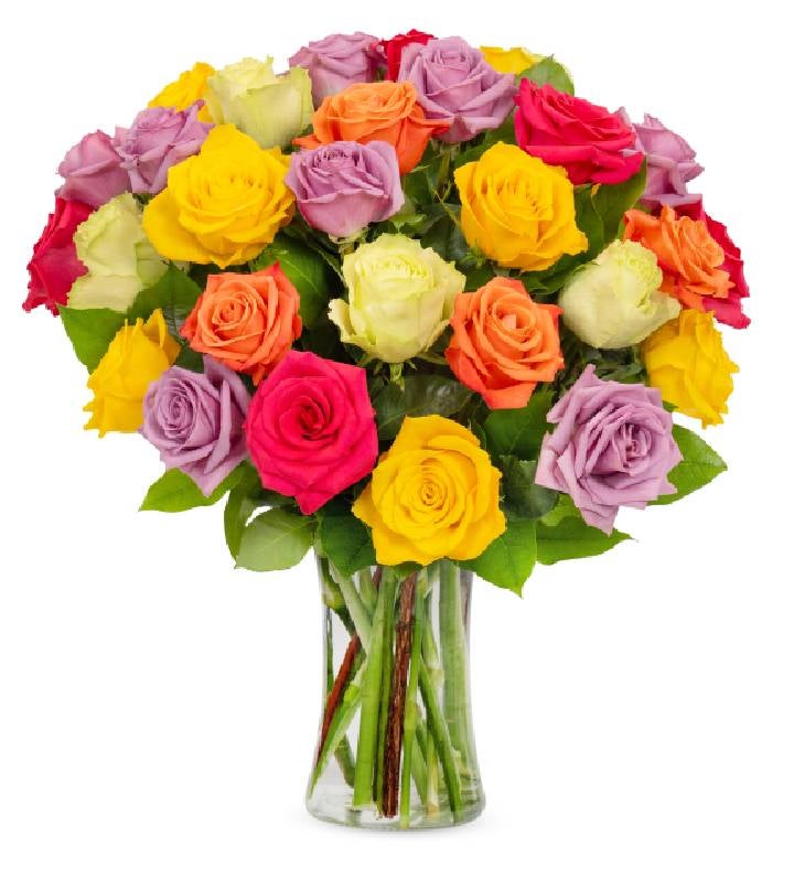 Assorted Bright Roses, 12 24 Stems