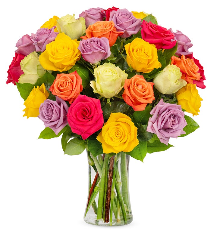 Assorted Bright Roses, 36-6 Stems