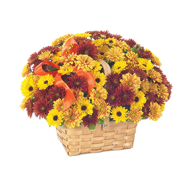 Fresh Fall Daisy Bouquet