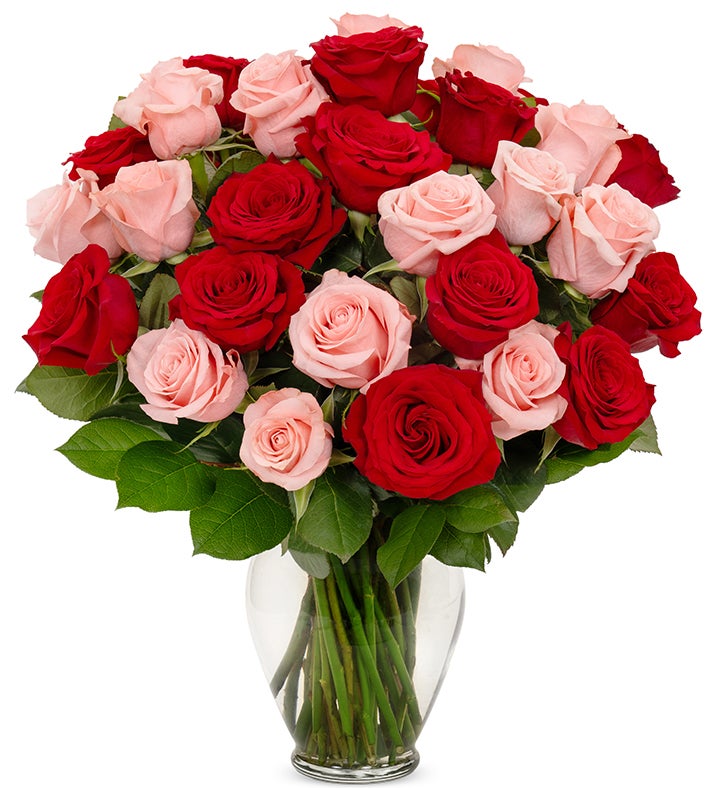 Red & Pink Roses, 36-6 Stems 