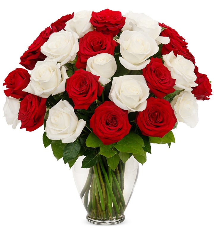 Red & White Roses