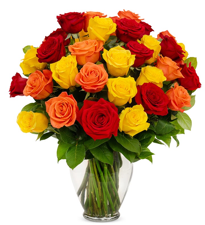 Red, Yellow, & Orange Roses, 36 6 Stems