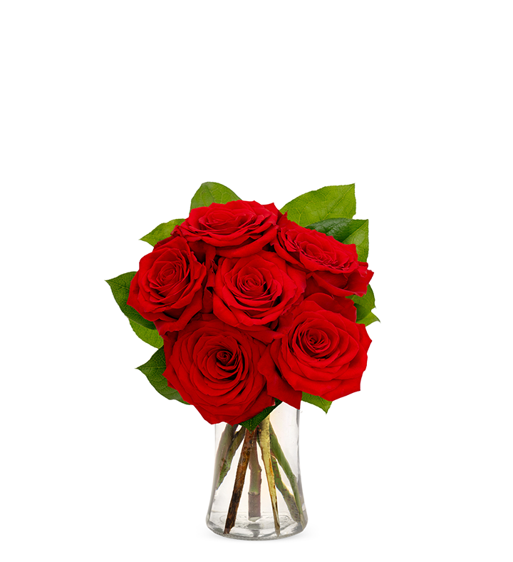 6 Stems