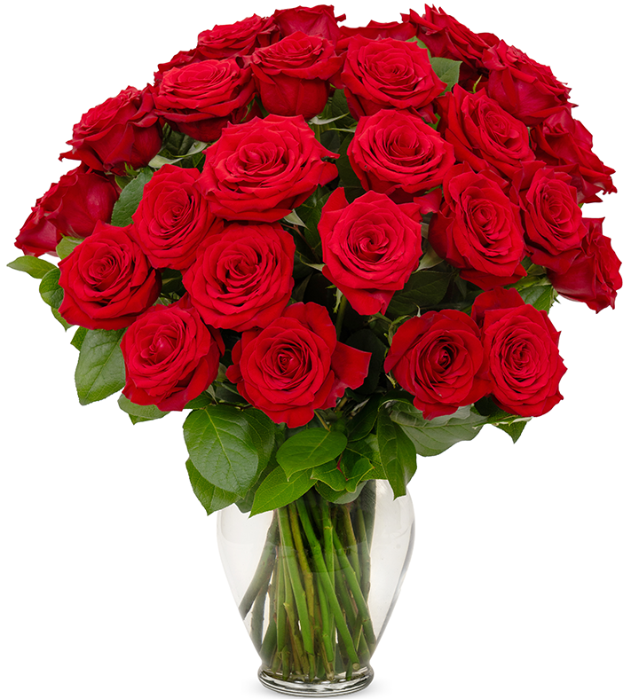 Red Roses